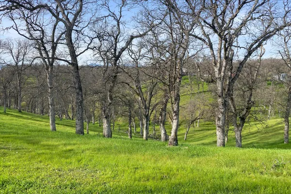 $525,000 | 19725 Quercus Lobata Byway, Red Bluff, CA 96080