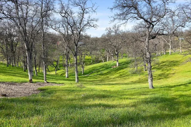 $550,000 | 19725 Quercus Lobata Byway, Red Bluff, CA 96080