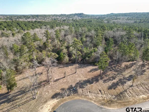 a view of a dry yard with trees