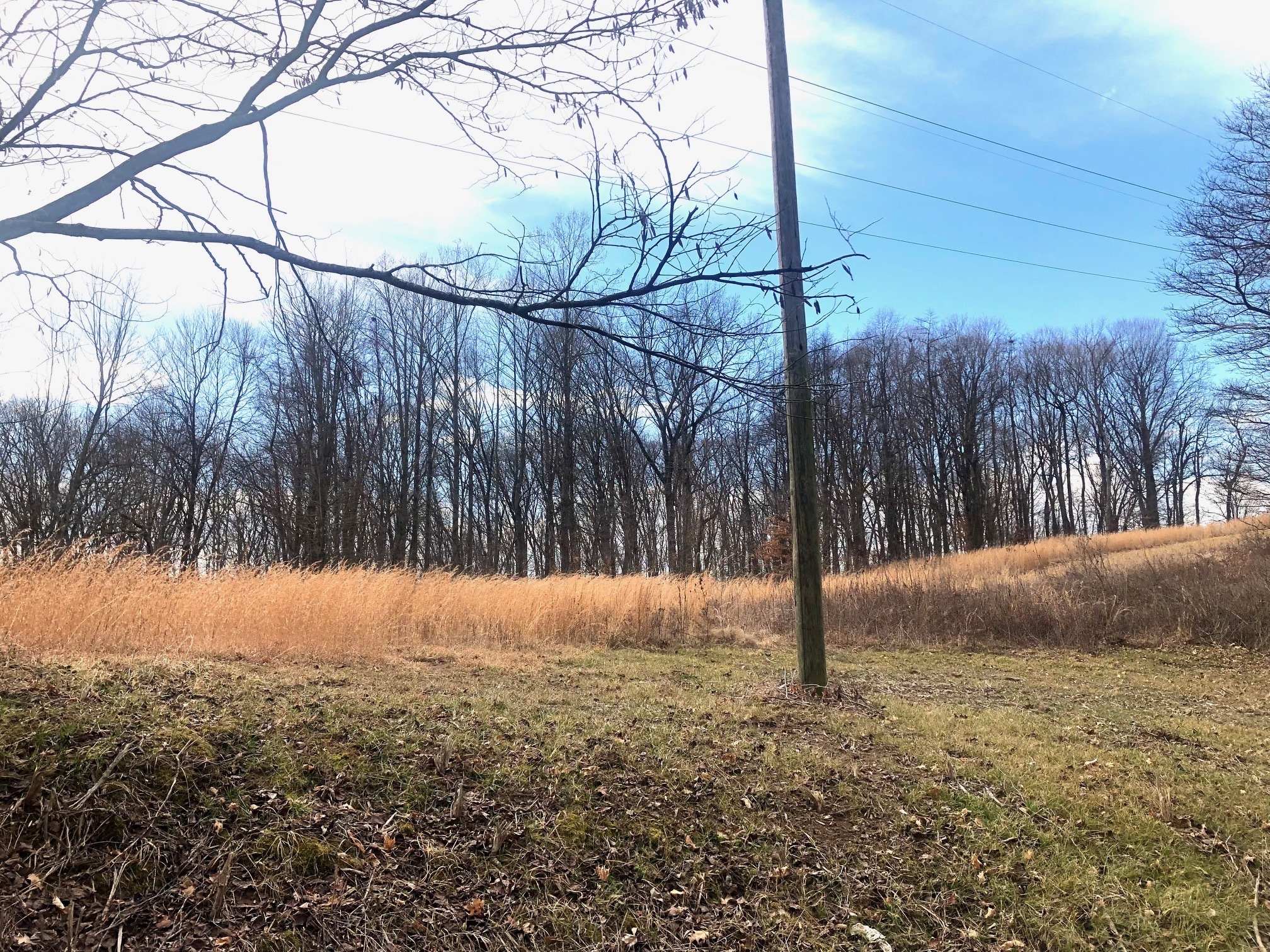 0 Atkinsonville Road Poland, IN 47868 - Photo 3 of 4