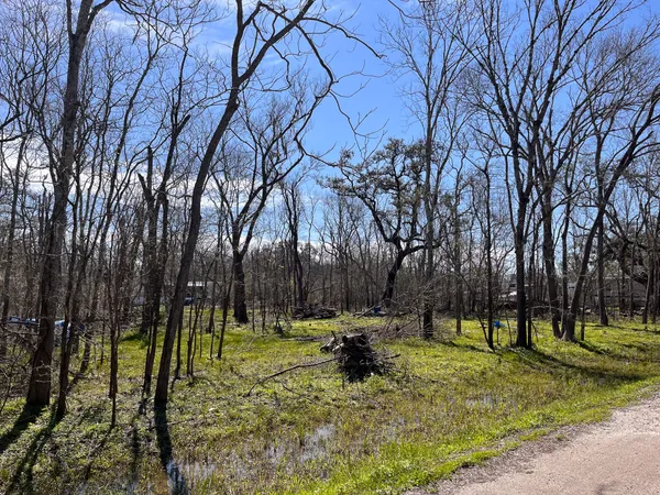 $13,000 | N/a Penguin Lane, Angleton, TX 77515