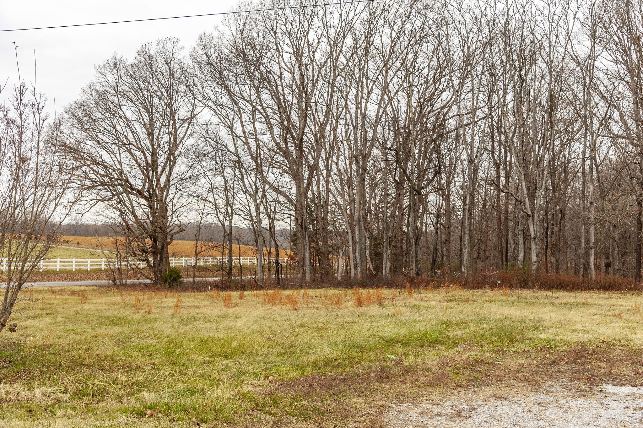 101 Riggs Road Portland, TN 37148 - Photo 6 of 10