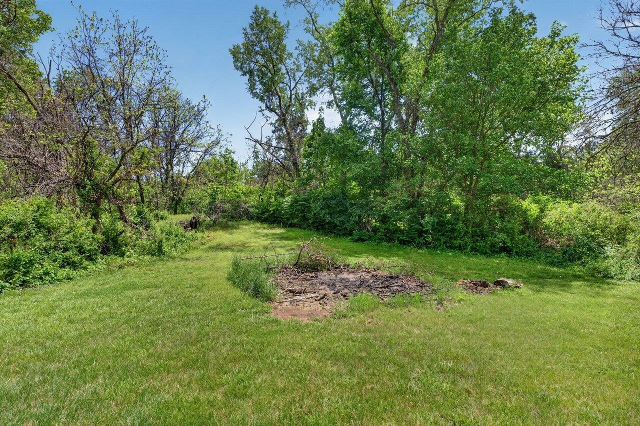 724 Newtown Road Elkton, VA 22827 - Photo 34 of 38 a view of a garden with a tree