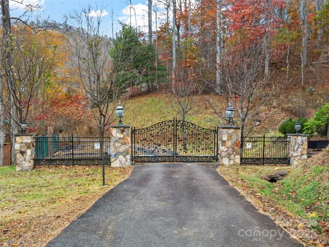 a view of a yard with trees
