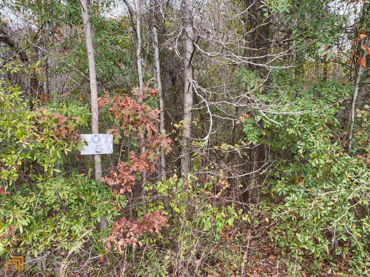 0 Ponder Pines Road, Unit LOT 5 Madison, GA 30650 - Photo 1 of 1 a view of a garden with plants