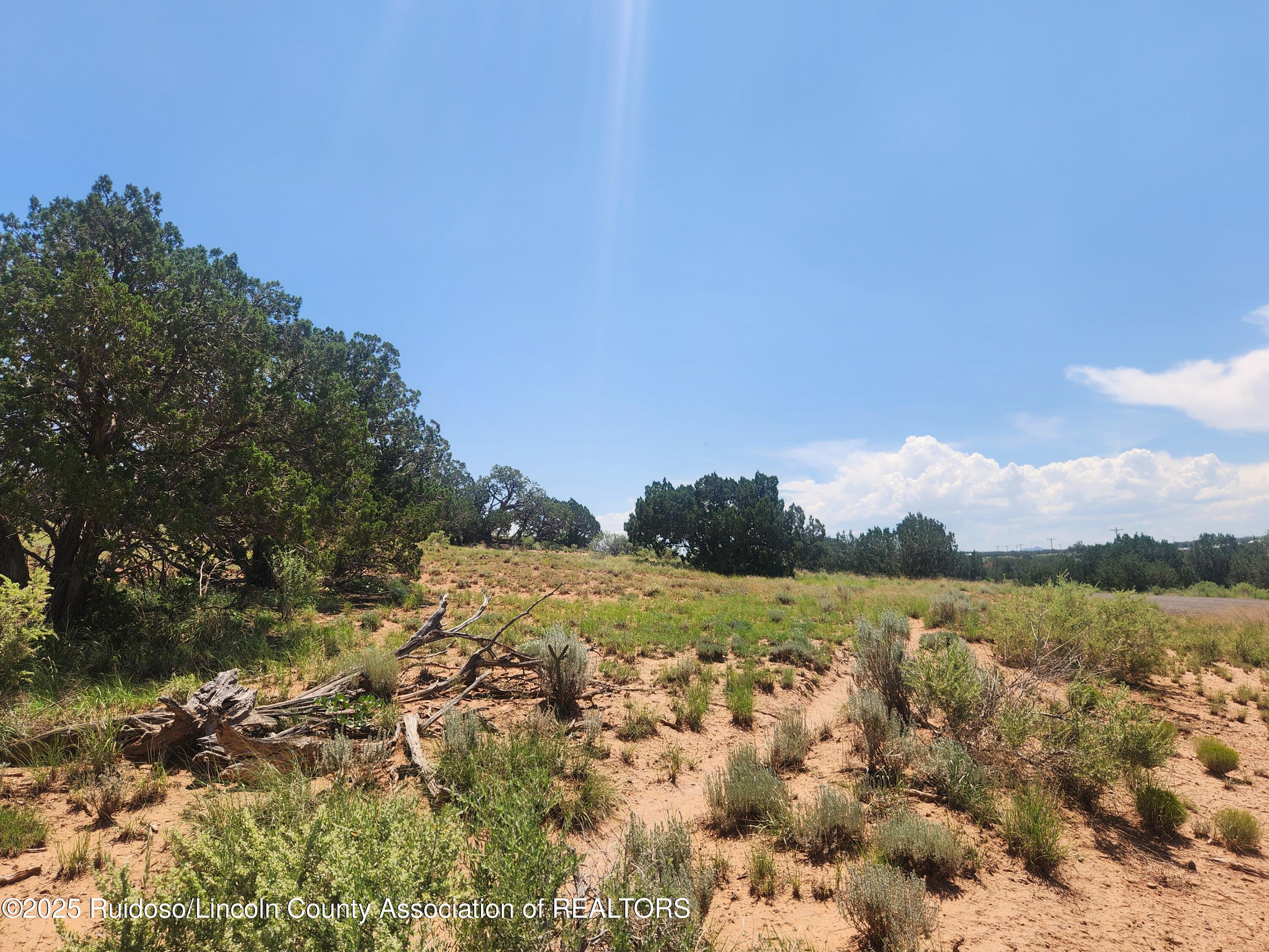 312 Windmill Road Carrizozo, NM 88301 - Photo 17 of 70 Gallery Image 17