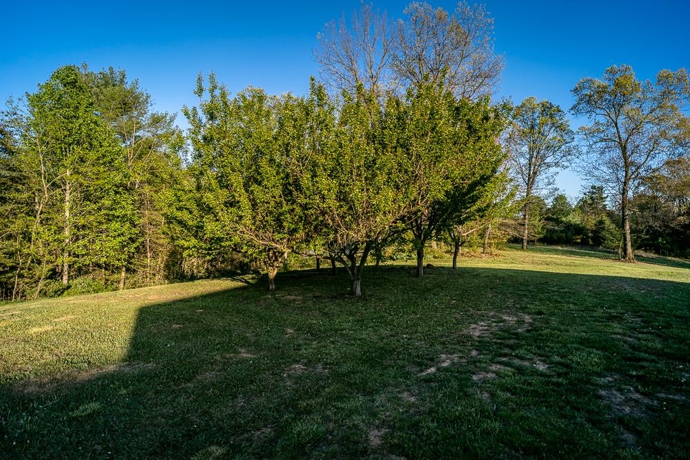 347 Enterprise Road Churchville, VA 24421 - Photo 72 of 75 a view of yard with green space