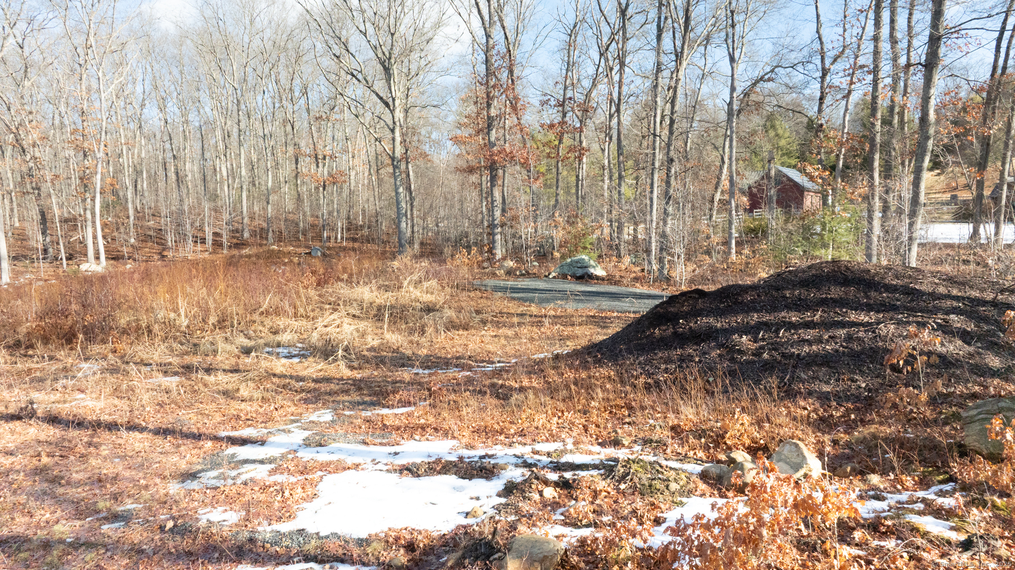 a view of yard with trees