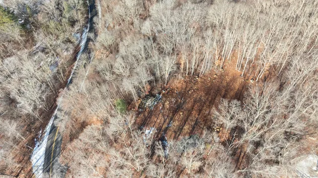 a view of a yard with trees on both side of it