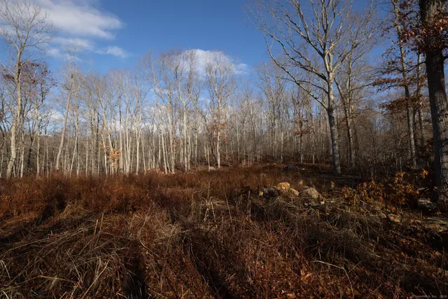 a view of covered with snow