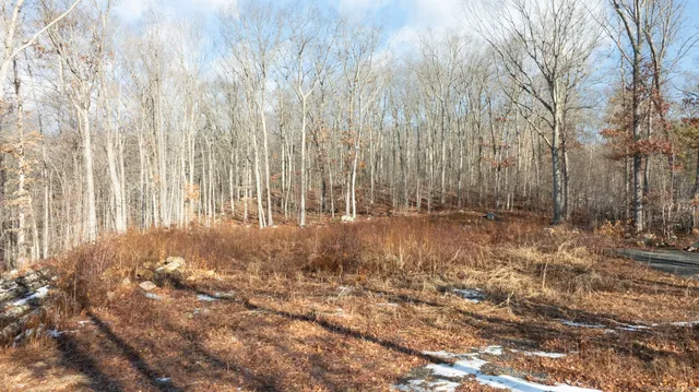 a view of wooden floor with some trees