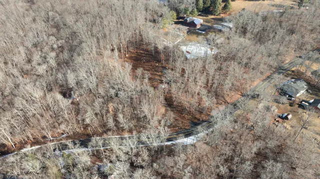 a close up of a plant with a dry yard