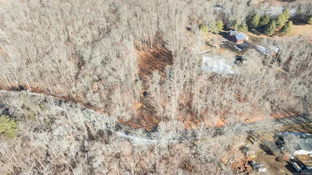 a close up of a plant