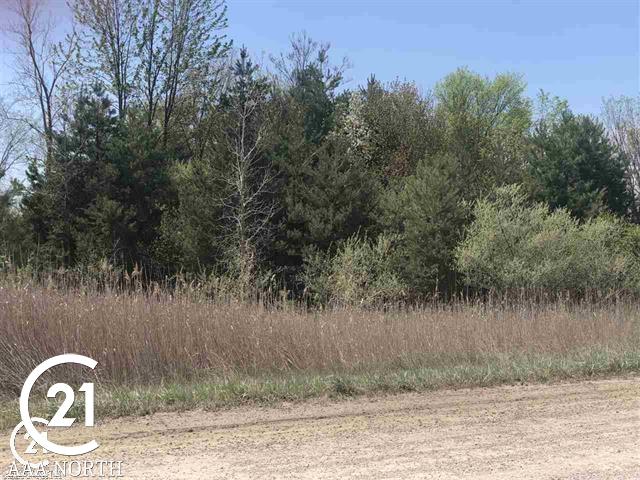 27 27 Mile Road New Haven, MI 48048 - Photo 2 of 3