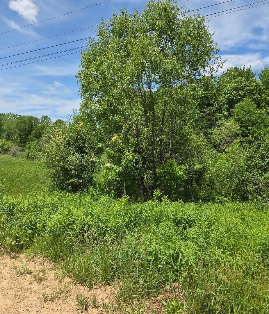 475 Tyler Road Wayland, MI 49348 - Photo 15 of 40 ty-40