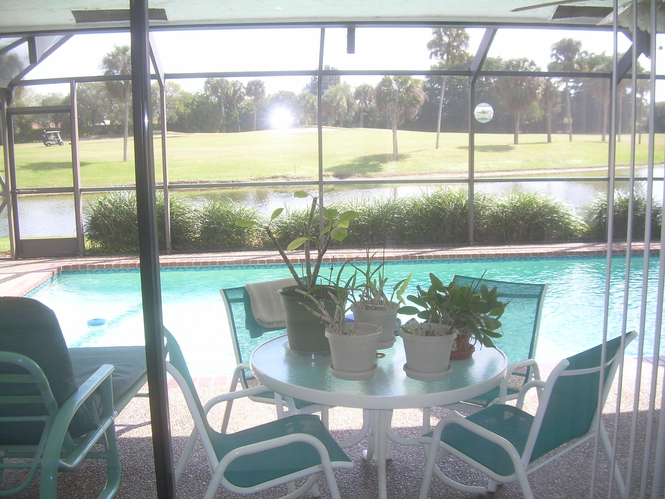 10166 Crosswind Road Boca Raton, FL 33498 - Photo 29 of 34 honeyc backyard 1 044