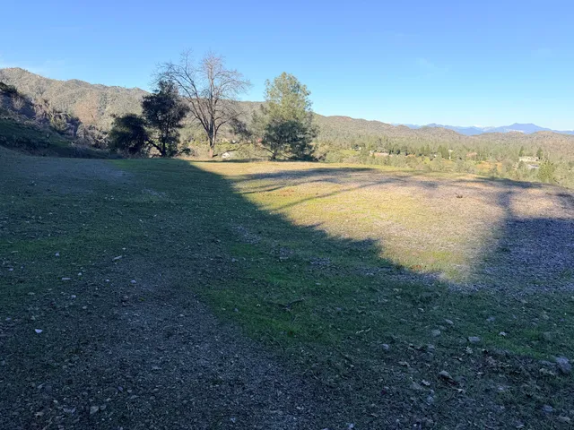 a view of a forest with mountains in the background