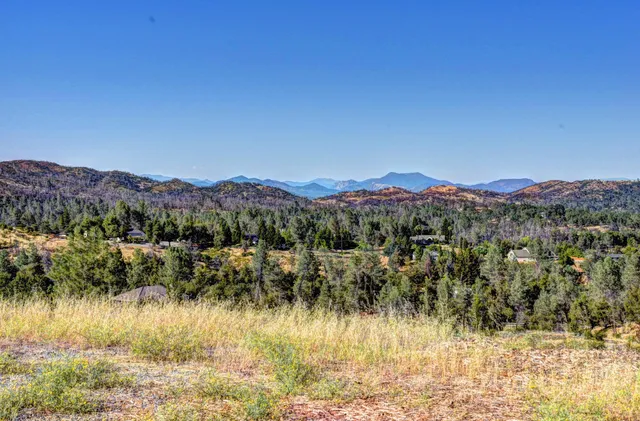 a view of a bunch of trees and mountains