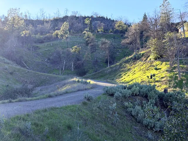 a view of a yard with swimming pool