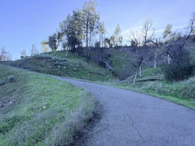 a view of a yard with a tree