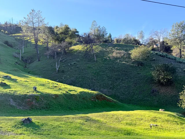 a backyard of a house with lots of green space