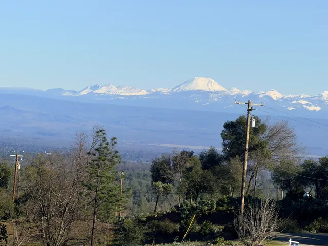 a view of a big yard with trees