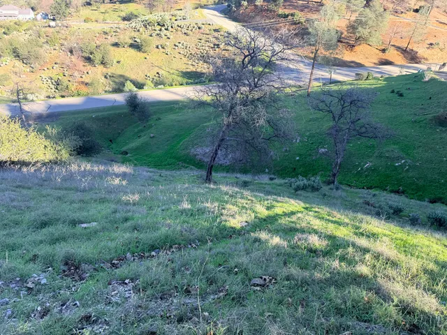 a view of a yard with an outdoor seating