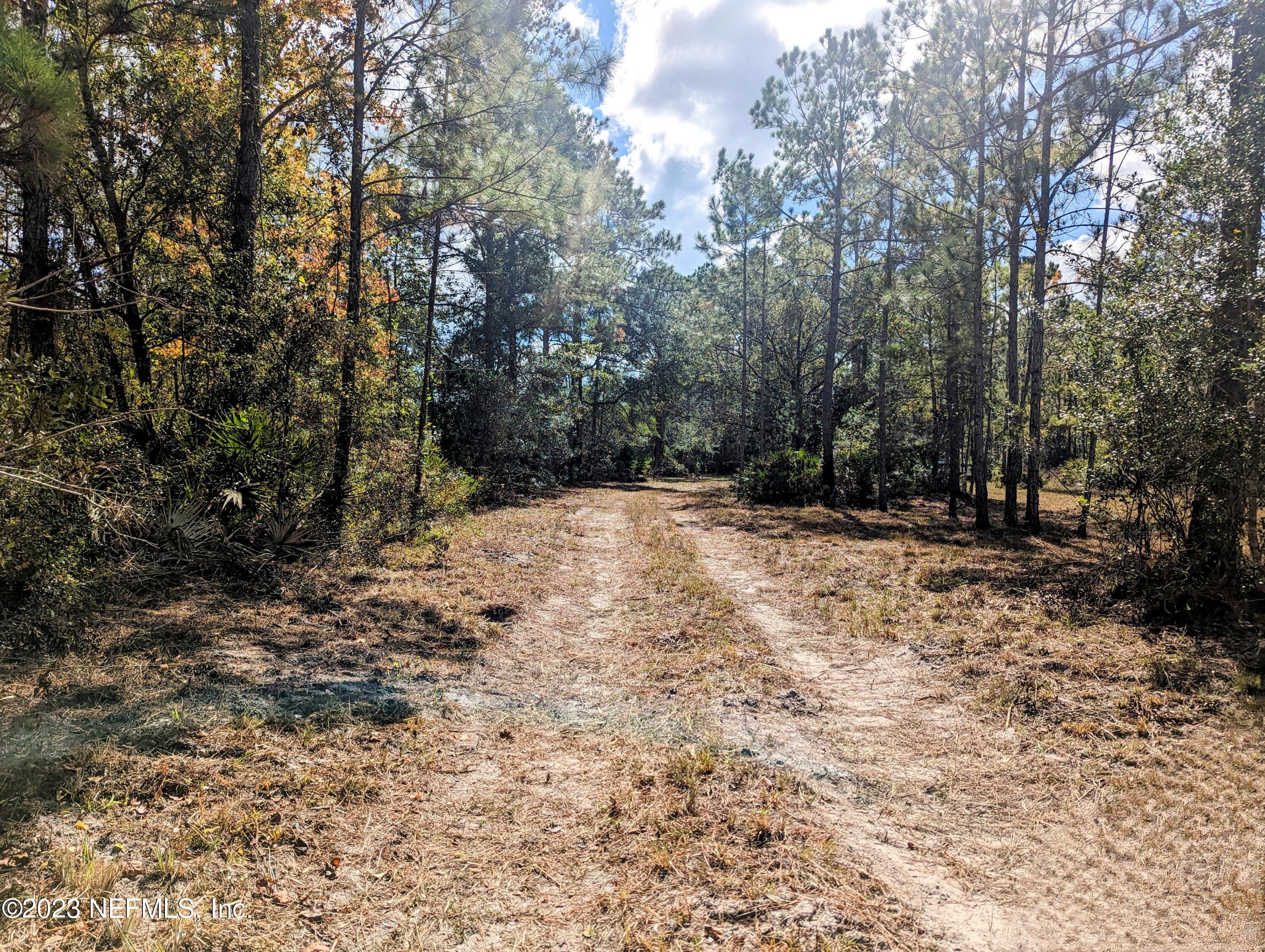 4499 Bondarenko Road Keystone Heights, FL 32656 - Photo 3 of 21 Driveway