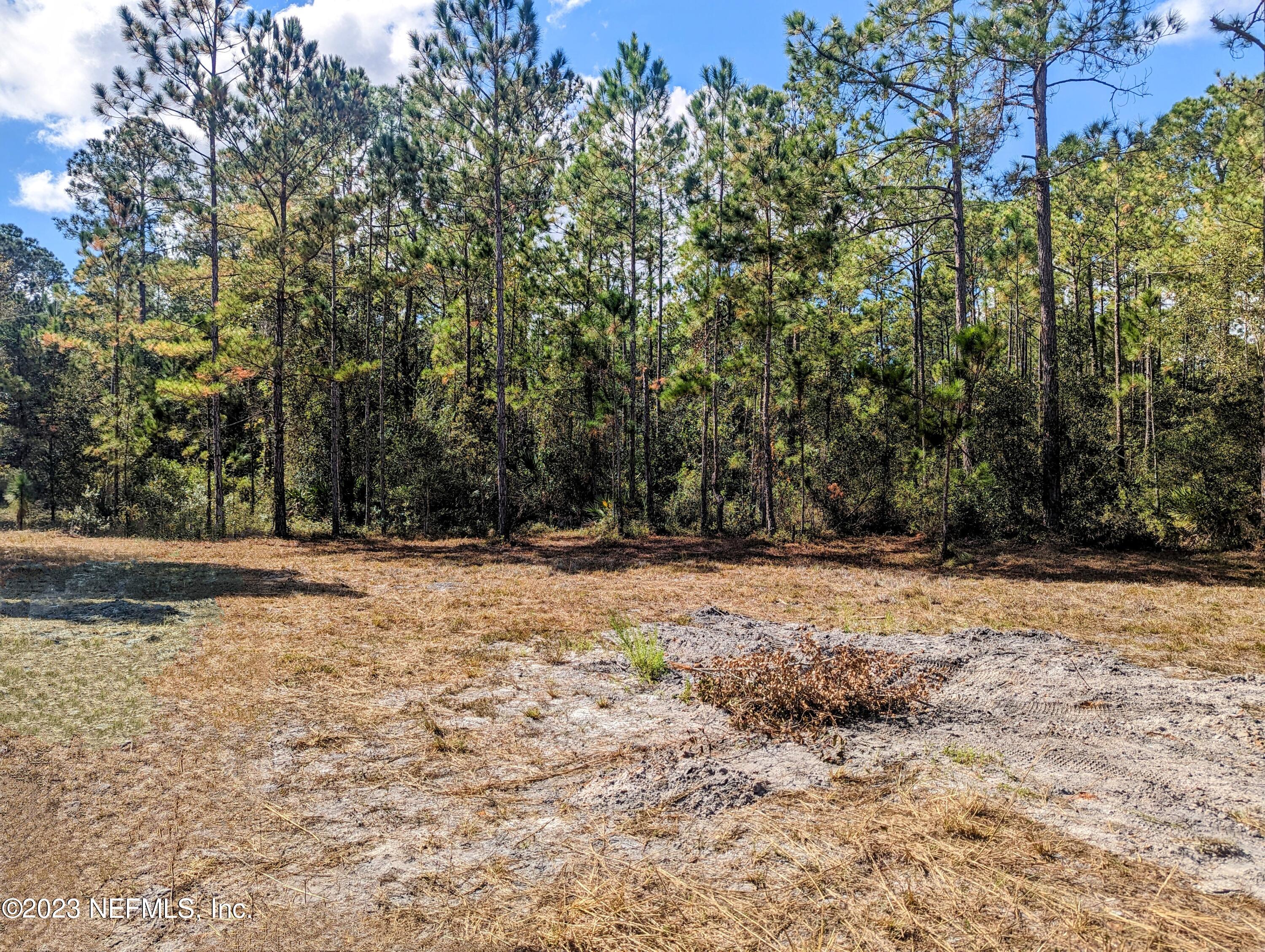 4499 Bondarenko Road Keystone Heights, FL 32656 - Photo 4 of 21 Cleard yard area