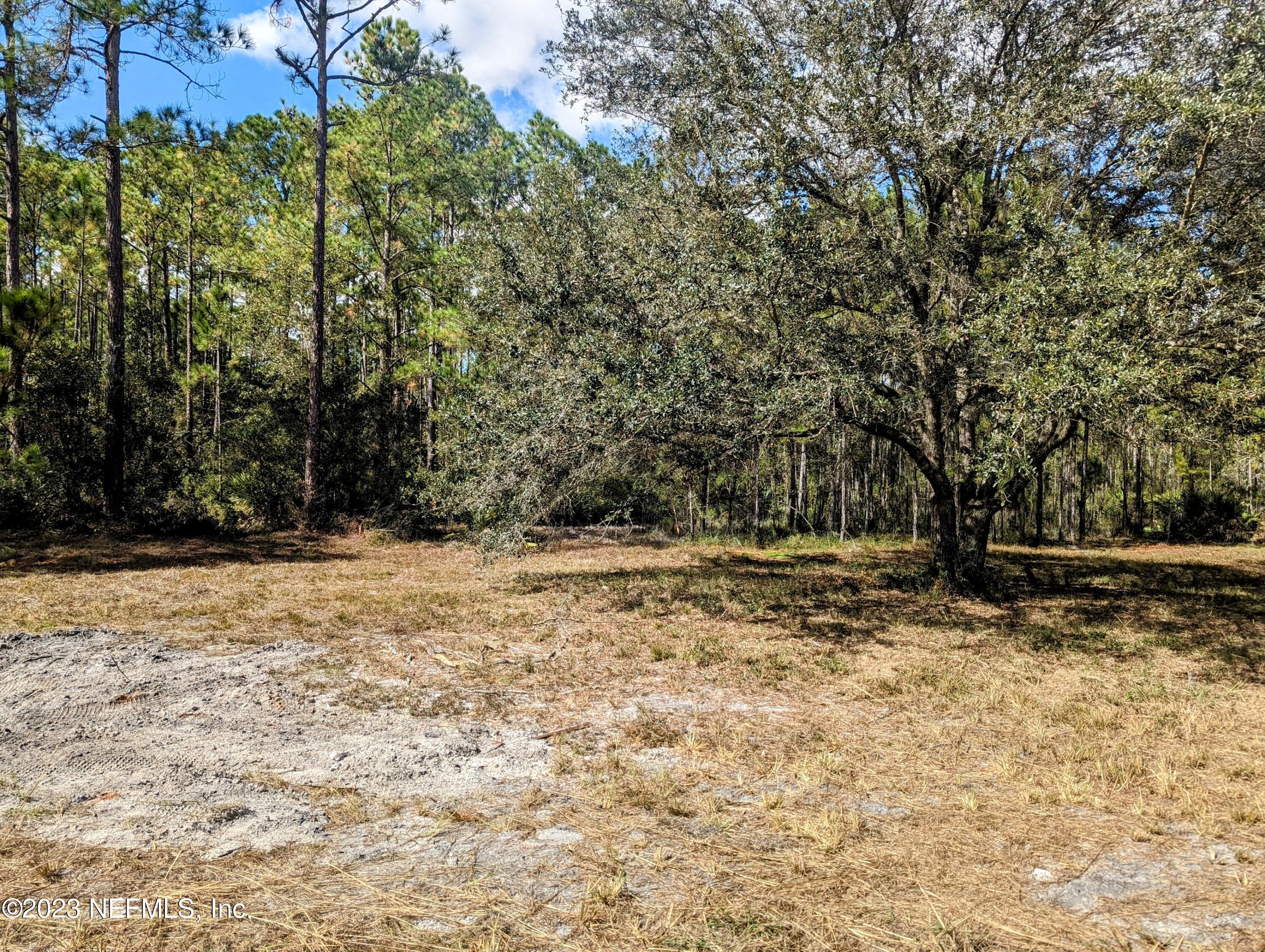 4499 Bondarenko Road Keystone Heights, FL 32656 - Photo 5 of 21 Cleared yard area