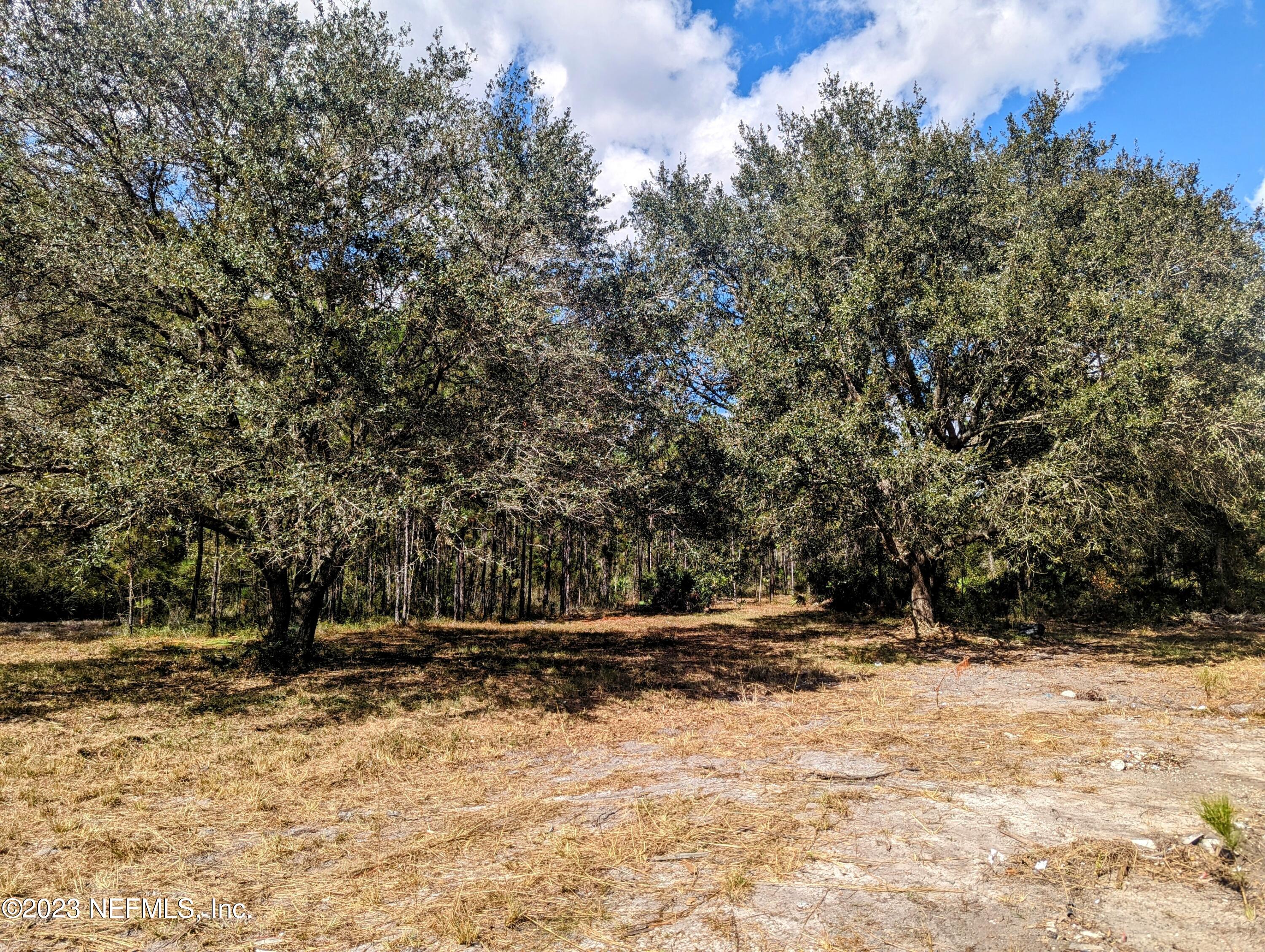 4499 Bondarenko Road Keystone Heights, FL 32656 - Photo 6 of 21 Cleared yard area