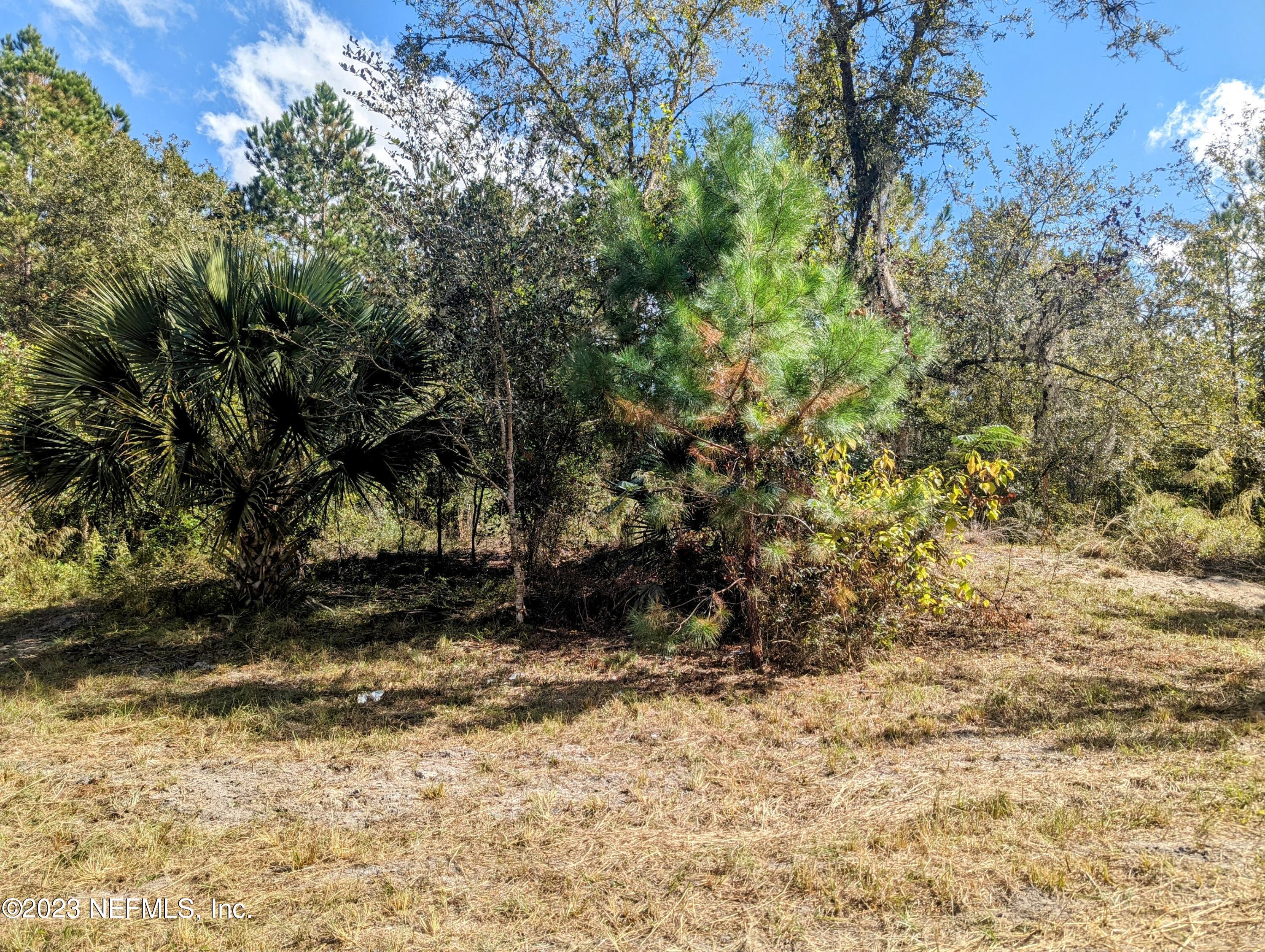 4499 Bondarenko Road Keystone Heights, FL 32656 - Photo 10 of 21 Near Septic