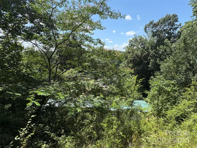 a view of a tree in a yard