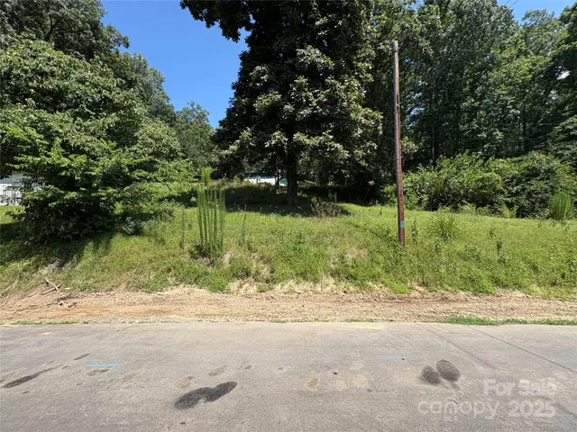 a view of a yard with plants on it