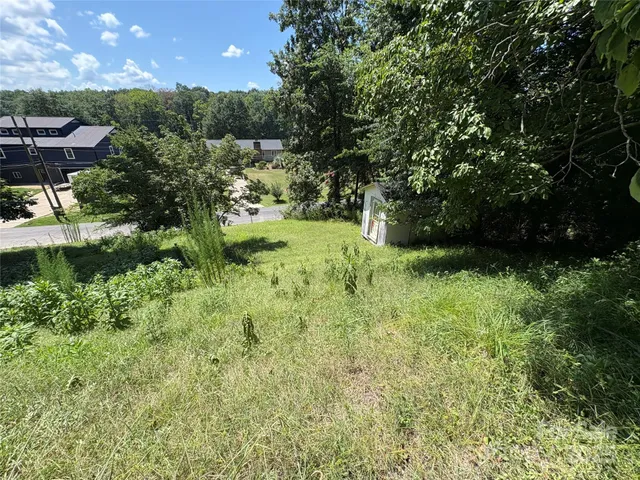 a view of backyard with green space