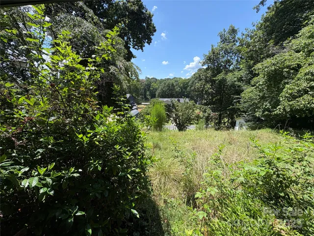 a view of a lake from a yard