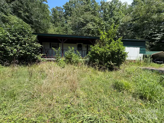 a view of backyard with plants and trees