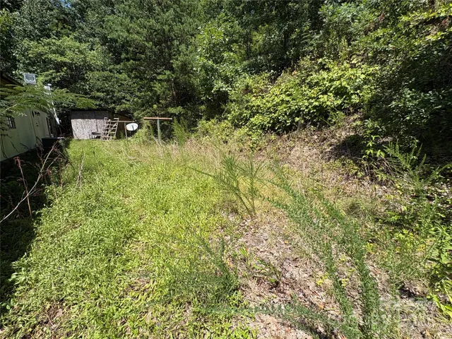 a view of a back yard