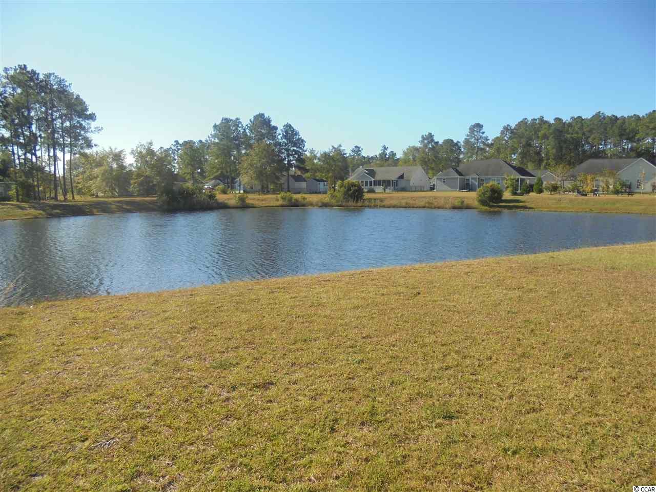 261 Georgia Mae Loop Conway, SC 29527 - Photo 5 of 20 Gallery Image 5