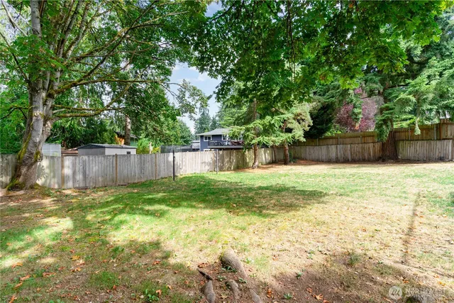 a view of a yard with a large tree and wooden fence