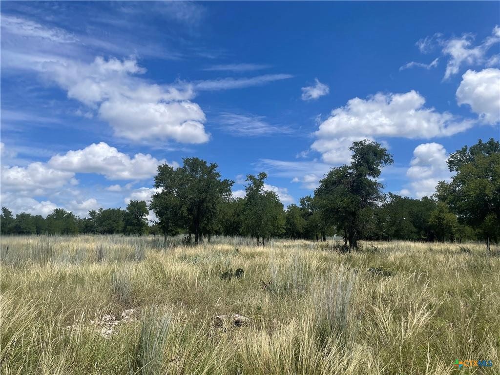 Lot 65 Estate View Circle Lampasas, TX 76550 - Photo 12 of 18 a view of a lake with a house in the background