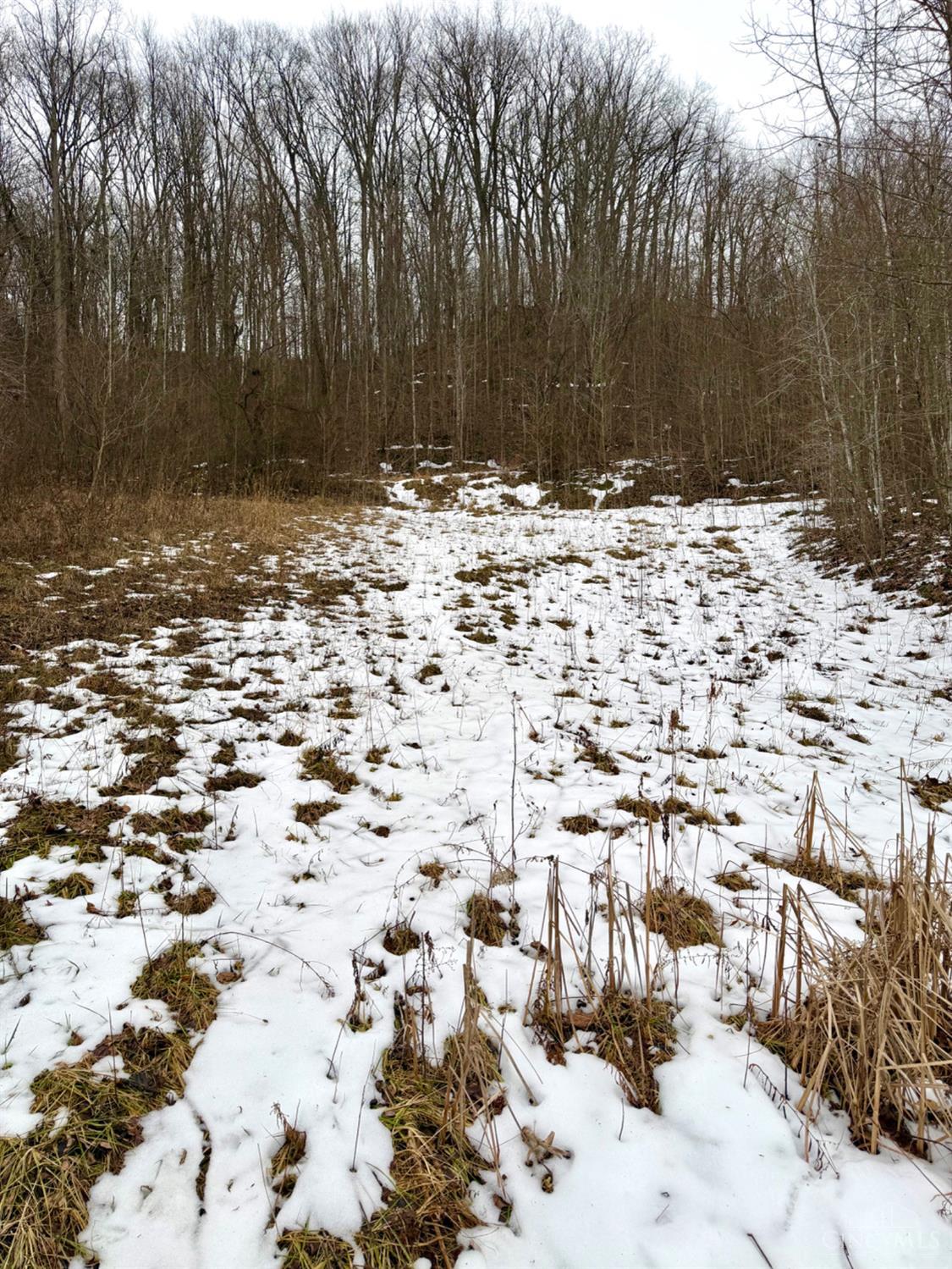 0 Straight Creek Road Waverly, OH 45690 - Photo 28 of 71