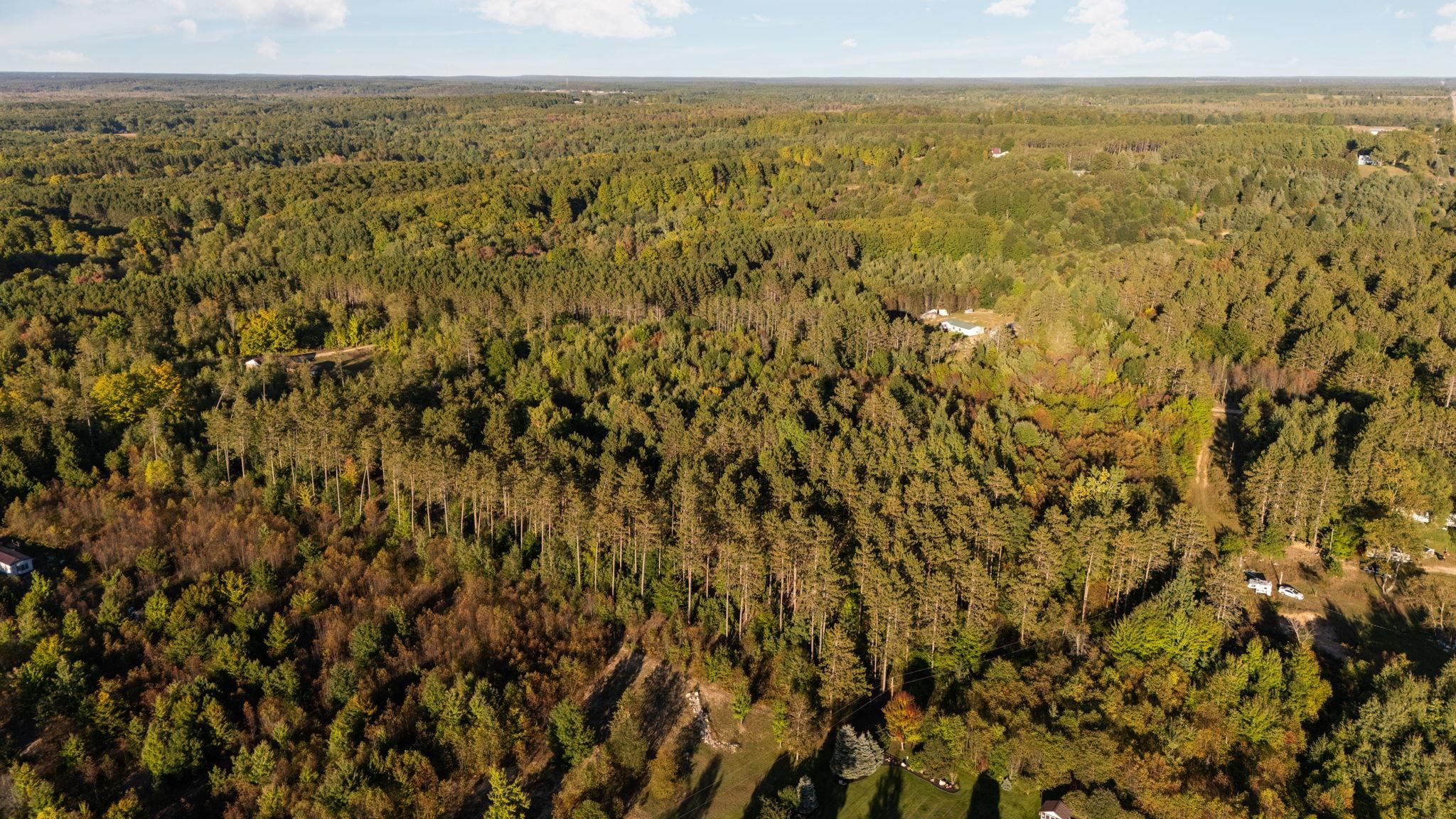 171 Colt Road Northeast Kalkaska, MI 49646 - Photo 9 of 25 Gallery Image 9