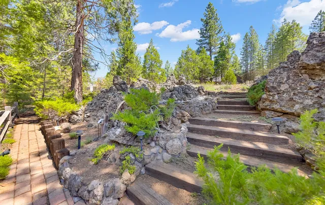 a view of a pathway with flower plants