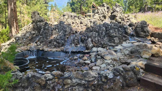 a view of a garden with plants
