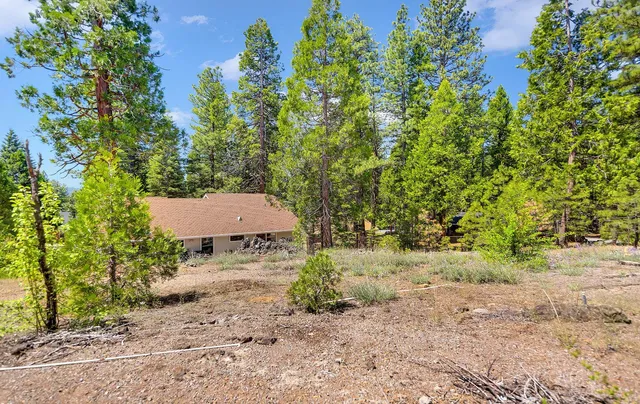 a view of a backyard with a tree