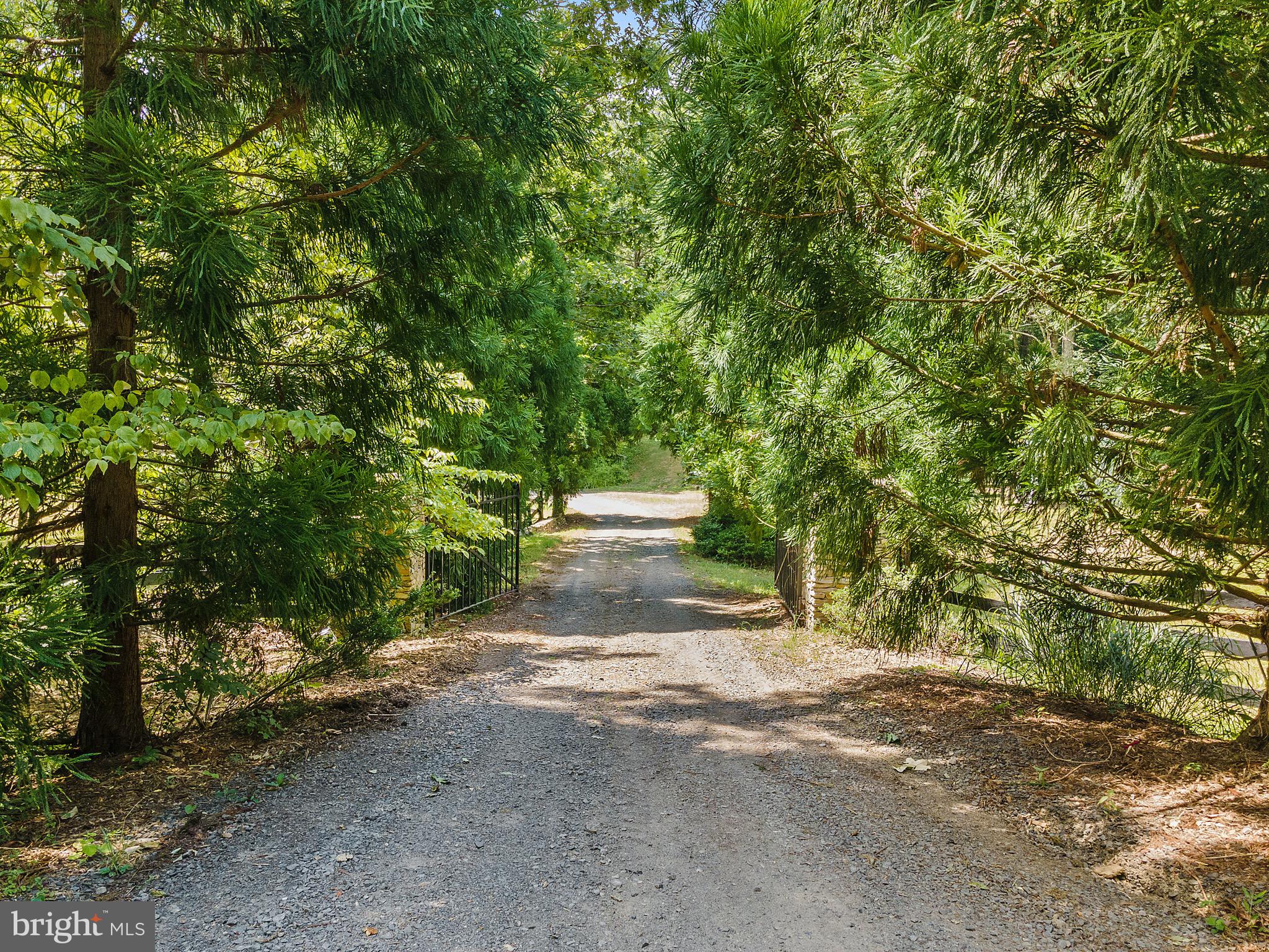 5588 Free State Road Marshall, VA 20115 - Photo 51 of 88 Driveway