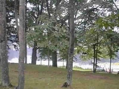 5260 Loop Road Hesperia, MI 49421 - Photo 2 of 2 Additional Photo