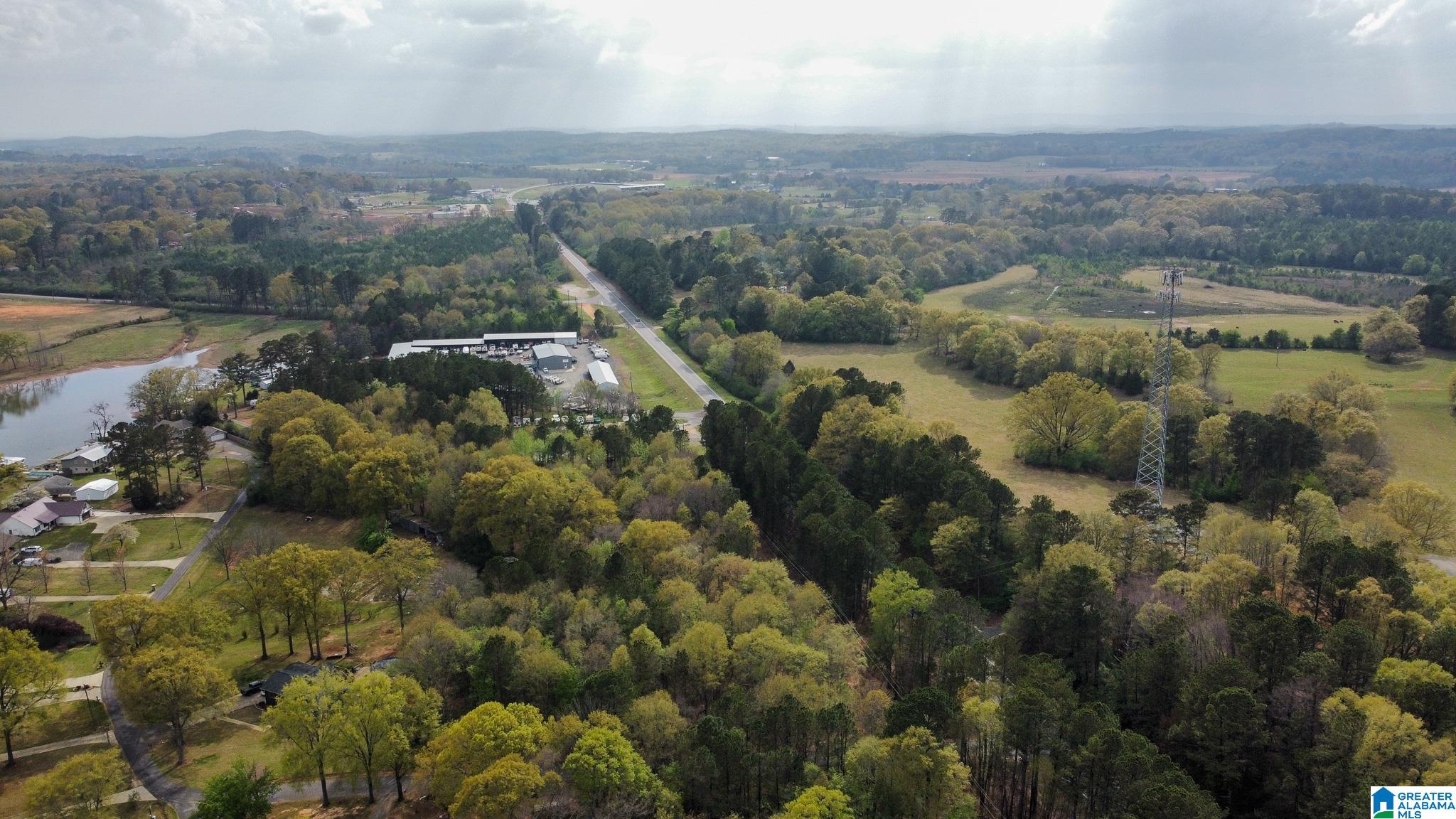 109 Harmon's Is Road Cropwell, AL 35054 - Photo 64 of 87