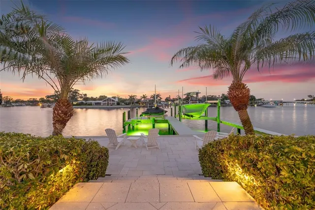a view of a lake with a palm trees